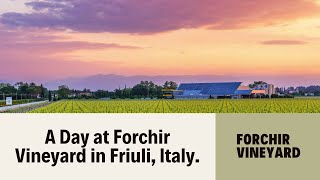 A Day at Forchir Vineyard in Friuli  Daniele Vatri [upl. by Adimra]