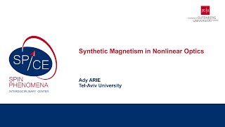 Talks  Spin textures Magnetism meets Plasmonics 2024  Ady ARIE TelAviv University [upl. by Ener]