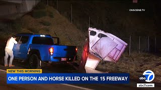 Person horse killed in crash on 15 Freeway in Norco [upl. by Scharf]