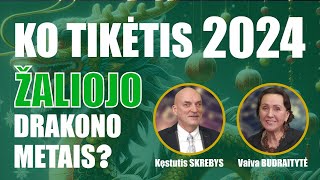 Laidoje „Prie arbatos su Kęstučiu Skrebiu“  charizmatiškoji astrologė Vaiva Budraitytė [upl. by Gregorius886]