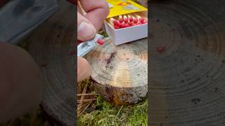 Easily ignitable matches 🔥 asmr bushcraft experiment survival camping outdoors fire [upl. by Suiramed]