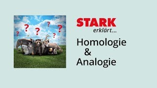 Homologie und Analogie  Evolution [upl. by Ebba924]