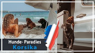 DAS perfekte Reiseziel mit Hund  Vanlife auf Korsika  Chocolate Foxred Labrador KaroLovesMilka [upl. by Elna]