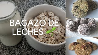 🌱3 RECETAS PARA UTILIZAR EL BAGAZO PULPA RESTO DE LECHES VEGETALES🌱BAGAZO DE ALMENDRAS🌱 [upl. by Ijan103]