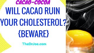 Cacao and Cholesterol Will Cacao Ruin Your Cholesterol [upl. by Ralston]