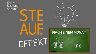 STEAUFEffekt Folge 2 FibonacciExperiment und der Goldene Schnitt [upl. by Narda]