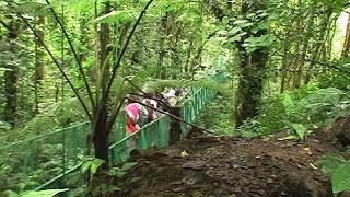 Tree top walkway in Monteverde [upl. by Enelyam309]