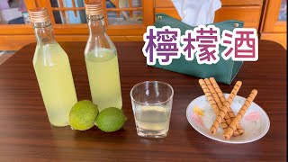 檸檬酒作法《在家輕鬆釀》酸甜滋味，像初戀的水果酒 [upl. by Asilet762]