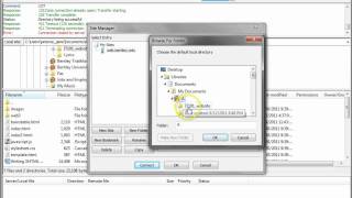 FileZilla Configuration [upl. by Eimme230]