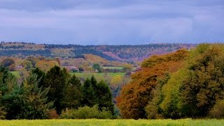 Troutsdale amp Wykeham Forest North York Moors  24 October 2015 [upl. by Sallyanne]