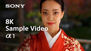 8K Sample Video  Alpha 1  Sony  α [upl. by Lachance]