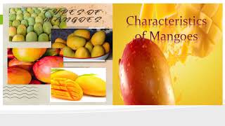 Types of Mangoes and its characteristic II Marife Adonis Official [upl. by Veal383]