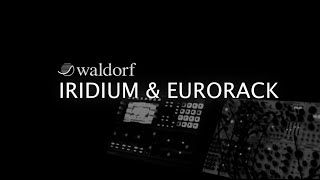 Waldorf Iridium amp Eurorack Synthesizer Sequence [upl. by Femi]