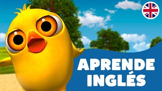 ¡A Cantar y Aprender Inglés con El Pollito Pío  El Reino Dice [upl. by Ycnahc]