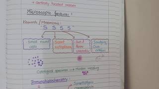 Bronchogenic Carcinoma  Pathology [upl. by Celia903]