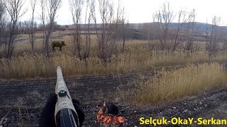 Heyecan verici yaban domuzu avıOkayŞAHİNSelçuk POSLUSerkanONATIR Wild Boar [upl. by Erlinna]