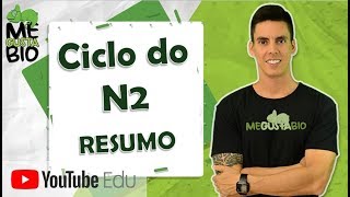 Ciclo do nitrogênio  Resumo [upl. by Ahsilek244]