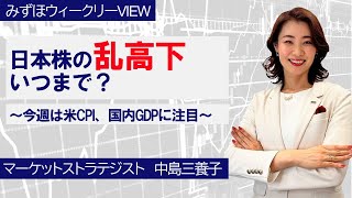 8月13日【日本株の乱高下、いつまで？～今週は米CPI、国内GDPに注目～】みずほウィークリーVIEW 中島三養子 [upl. by Notla443]