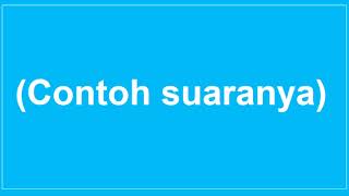 Siapakah Sang Pengisi Suara Pengumuman Bandara yang Terdapat pada Video Ini [upl. by Cunningham]