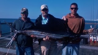 Sailfish Fishing Off the Okaloosa Island Pier Fort Walton Beach amp Destin Florida Fishing How to [upl. by Ioved]