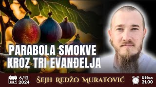 quotPARABOLA SMOKVE KROZ TRI EVANĐELJAquot Šejh Redžo Muratović [upl. by Anelrats]