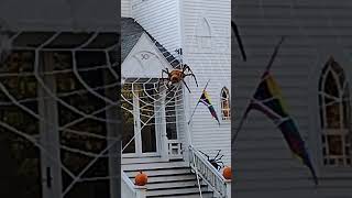 Creepy Crawlers  Halloween Fun  Boston Suburb [upl. by Chor]