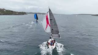 Schull Harbour Hotel Calves Week 2024 Day 2 [upl. by Jovi]