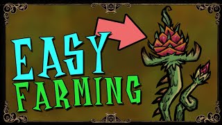 EASIEST WAY TO USE FARM PLOTS  Reap What you Sow Dont Starve Together Guide [upl. by Adnamaa538]