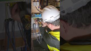 Consumer unit fusebox upgrade cable preparation Domestic elecrical electrician [upl. by Urita]