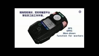 E1000 Portable Gas Detector single gas detector Hanwei Electronics [upl. by Sixel621]