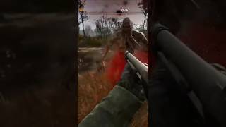 Anomalies and slav squats stalker2 gaming postapocalyptic action music vibes fun fps [upl. by Curcio]