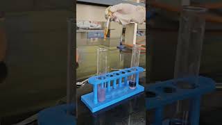 Effect of Salivary Amylase on STARCH class10 science experiment [upl. by Blanding400]