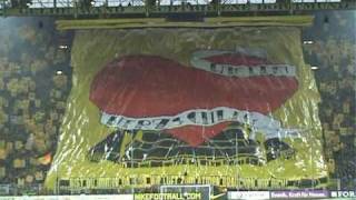 BVB vs Bayern Choreo [upl. by Dolli]