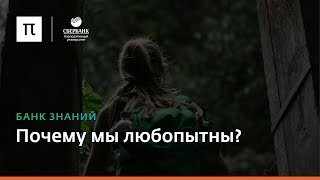 Почему мы любопытны [upl. by Airalednac]