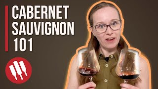 Cabernet Sauvignon Everything You Need To Know  Grapes 101 [upl. by Einnil479]