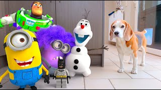 Animations in REAL LIFE vs Funny Dogs 🥳  Angry Birds  LEGO  Minion [upl. by Buchbinder]