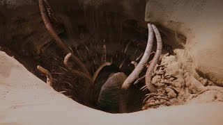 The Sarlacc Pit with Unused Score  Star Wars Return of the Jedi [upl. by Romo]