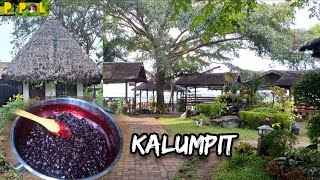 Harvesting KALUMPIT amp Turn it into Jam  Minatamis na Kalumpit  Philippine Provincial Life [upl. by Yeslrahc]