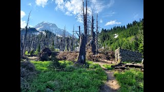 Timberline Trail Day Hike  Around Mt Hood  41 Miles [upl. by Noakes]