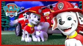 Marshalls Animal Rescue Moments More Paw Patrol Cartoon for Kids [upl. by Lee969]