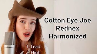 Cotton eye Joe  Rednex  Harmonized • Miekes Voice [upl. by Gnol]