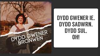 DYDD GWENER IE 🎶🏴󠁧󠁢󠁷󠁬󠁳󠁿 in full Thank you bbcradio1 🙌🏻 [upl. by Medina]