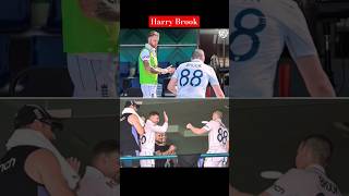 Harry Brook vs Pak bowling🇵🇰 harrybrown cricket engvpak trending [upl. by Merriam]