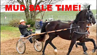 AMISH LAND MUD SALE 2024 RAWLINSVILLE Volunteer Fire Company Mud Sale Lancaster County PA [upl. by Ahsitahs]