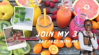 🍋🥬 Join My 3Day Juice Fast Complete Guide to Detox amp Boost Your Health 🧃🍍 [upl. by Malkin]