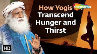 How Yogis Lower Their Metabolism to Transcend Hunger  Sadhguru [upl. by Reinaldo]