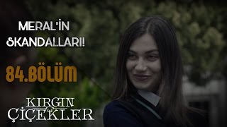 Meralin skandalları  Kırgın Çiçekler 84Bölüm [upl. by Norod]