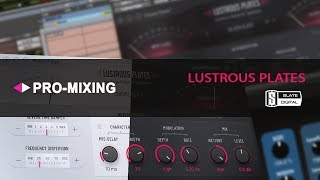 Обзор Slate Digital Lustrous Plates Reverb Арам Киракосян [upl. by Christenson285]