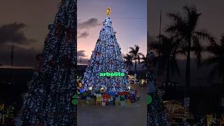 Así luce el parque central de San Fernando 😍 tiktok shorts viralshorts vlog visit travel [upl. by Randell]