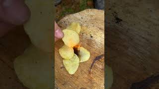 Fire Starter with Chips and a Broken Lighter Unbelievable Hack [upl. by Leah]